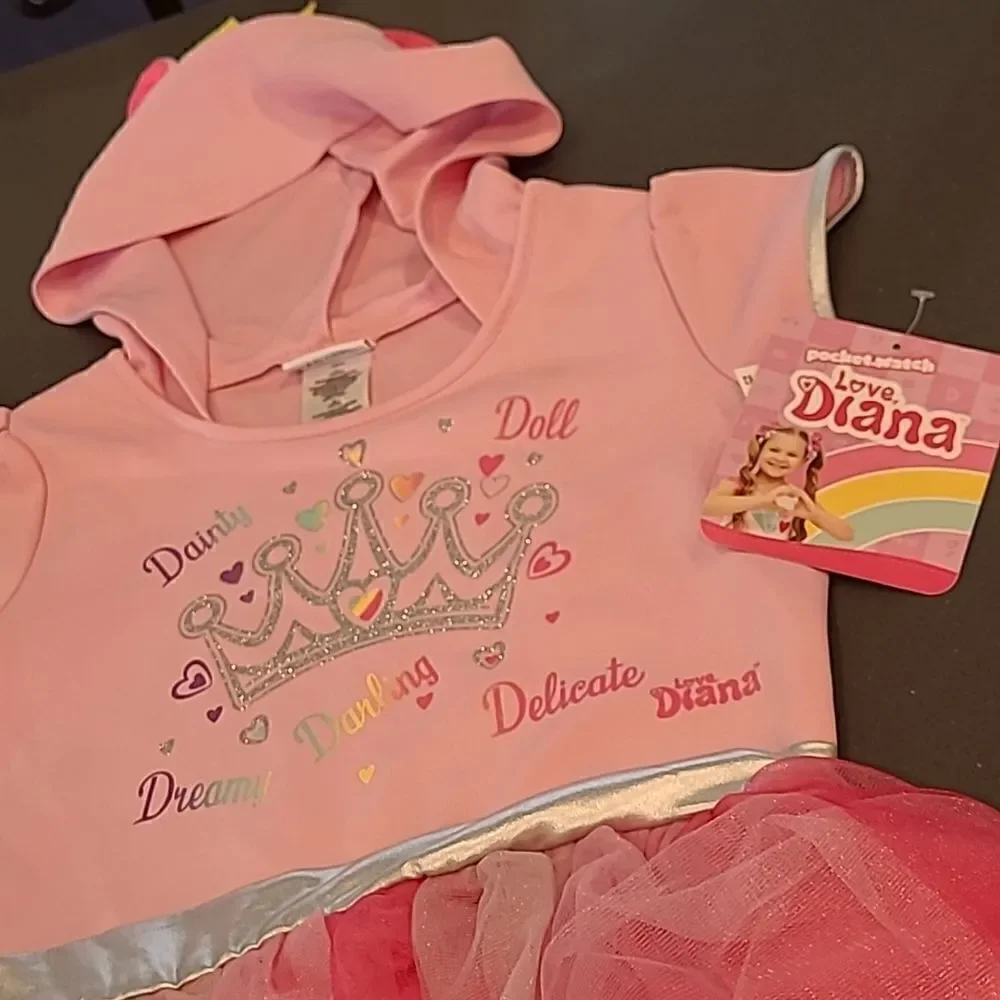 NWT Love Diana Pink Hooded Dress